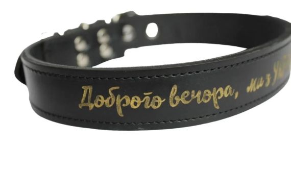 Шкіряний нашийник для собак Доброго вечора, ми з України чорний