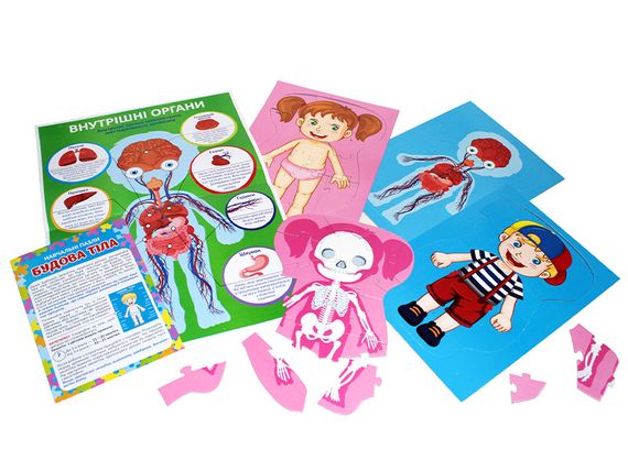 Пазл Будова тіла | Зображення 2