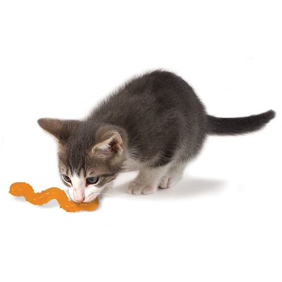 Іграшка для котів OutwardHound Petstages Orkakat Catnip Wiggle Worm, 10 см | Зображення 1