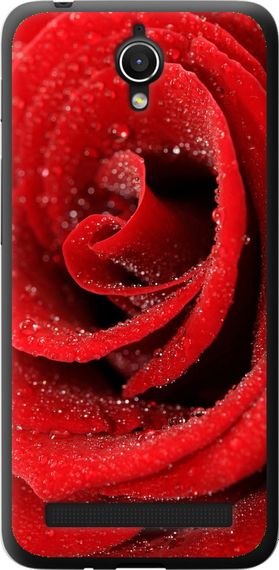 Чехол на Asus ZenFone Go ZC451TG Красная роза "529u-276-17620"
