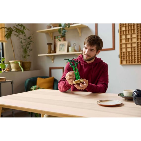 Конструктор LEGO Botanicals Бамбук щастя (10344) | Зображення 7