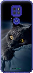 Чохол на Motorola G9 Play Димчастий кіт "825u-2105-2448"