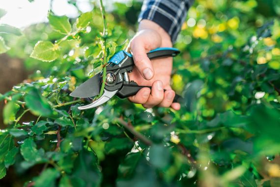 Секатор площинний Cellfast ERGO рез 18 мм 41-020 | Зображення 1