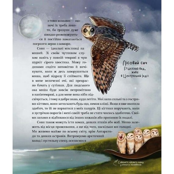 Детская книга "Такие, как мы. О животных и их характерах" 253615 | Зображення 3