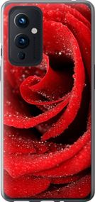 Чехол на OnePlus 9 Красная роза "529u-2249-17620"