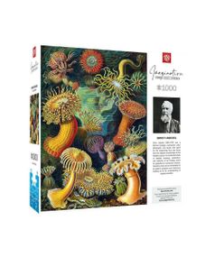Пазл GoodLoot Imagination: Ernst Haeckel: Sea Anemones/Stworzenia morskie Puzzles 1000 ел. (5908305244943)