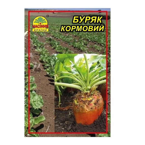 Насіння буряка кормового Рекорд полі 20 г (Насіння країни)