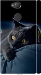 Чохол на Sony Xperia XA2 H4113 Димчастий кіт "825m-1357-2448"
