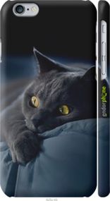Чохол на iPhone 6s Димчастий кіт "825m-90-2448"