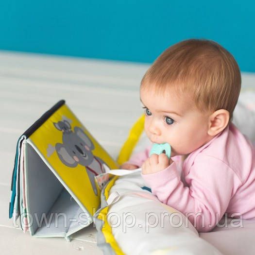 Развивающая Перекидная Книжка Коллекции Мечтательные Коалы - Приключения Коалы Кимми | Зображення 6
