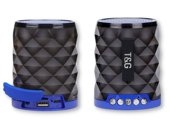 Портативна колонка T&amp;G TG155 10Вт USB, AUX, FM, Bluetooth синя (ЦУ-00034843)