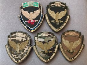 Шеврон Пограничная служба Управление внутренней и собственной безопасности