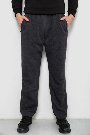 Спортивные штаны мужские на флисе, цвет серый, 244R41715