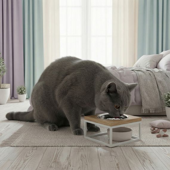 Миска на подставке для кошек и средних собак Hollky Base Solo M (1 × 0,8 л) Solo M-212110-WHNT | Зображення 1