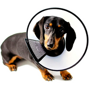 Товары для реабилитации