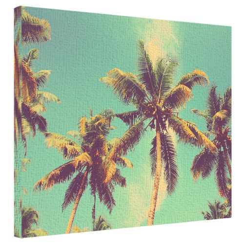 Картина на холсте Пальмы 40x50 см (H4050_PRI001)