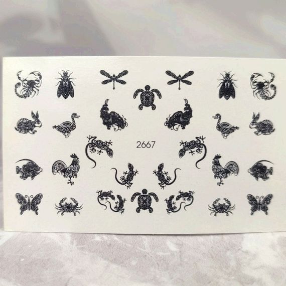 Слайдер 2667 на водяній основі