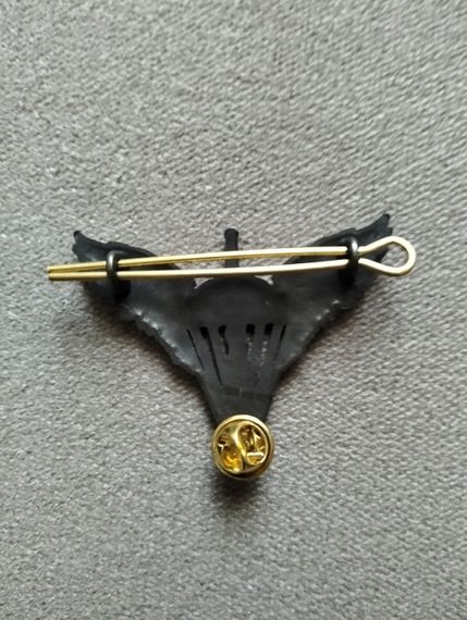 Кокарда "ДШВ" (бронза) | Зображення 1