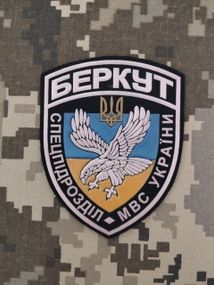 Шеврон Беркут / малий