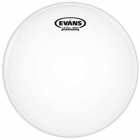 Пластик EVANS B10G1