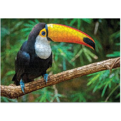 Пазл DoDo Птица Тукан. Бразилия, 500 элементов (300400) | Зображення 1