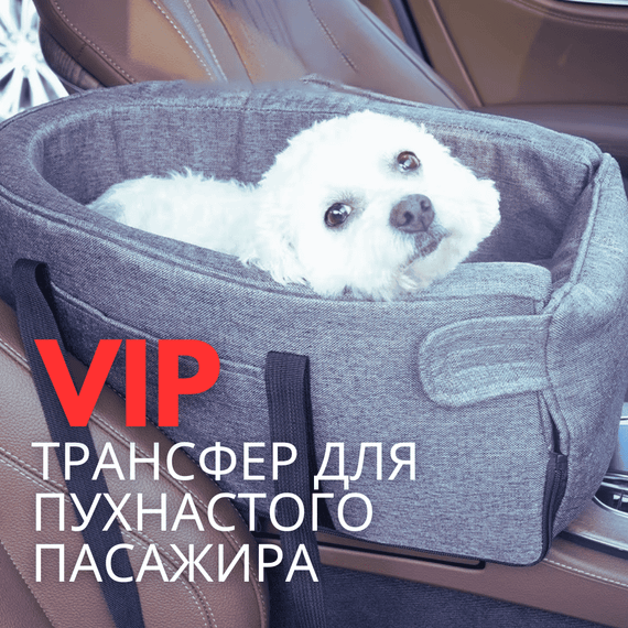 Автомобільне Крісло для Собак і Котів до 6,5 кг в Машину на Підлокітник — Автокрісло-Переноска з Ручками 3в1 в Дорогу з Тваринами | Зображення 6