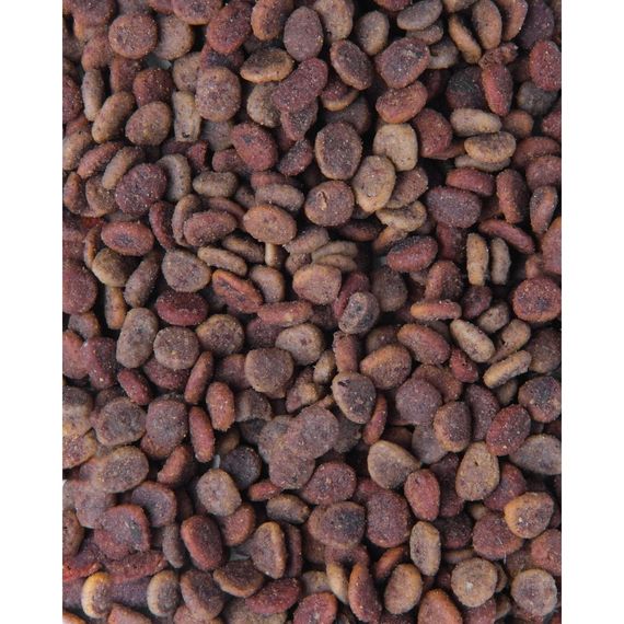 Корм сухий Carnilove True Fresh Cat Fresh Chicken для дорослих котів з куркою 4,8 кг | Зображення 3