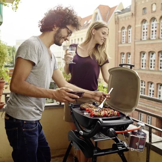 Газовий гриль Weber Q1200N