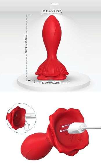 Анальна пробка - Rosenberg Red, 9 Vibration Functions sexstyle | Зображення 8