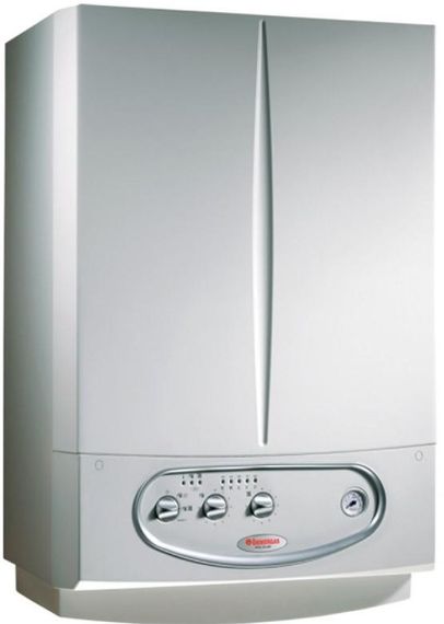 Котел газовый Immergas Nike Mini 28 KW Special двухконтурный дымоходный 28кВт 3.018921