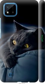 Чохол на Realme C20A Димчастий кіт "825m-2416-2448"