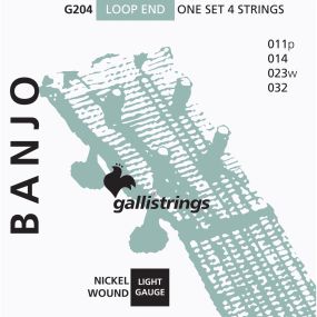 Струни для банджо Gallistrings G204 (.010-.032), Steel