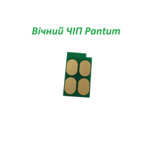 Вечный чип для Pantum BP5100DN