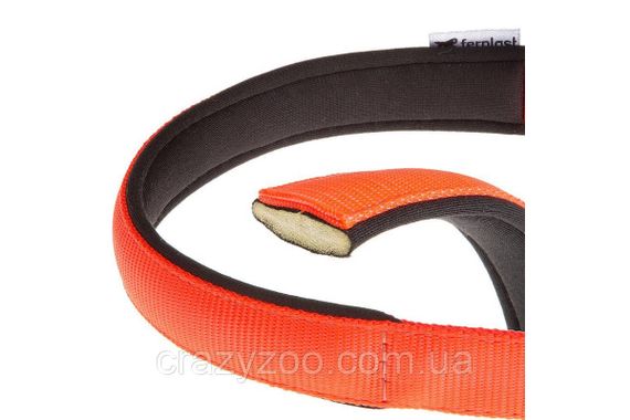 Нашийник для собак Ferplast Daytona C25/45 нейлон помаранчевий 2.5х37-45 см 75248939 | Зображення 1