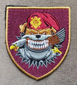 Шеврон Отдельный полк Президента Украины / Берет