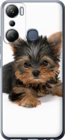Чехол на Infinix Hot 20i Щенок йоркширского терьера "931u-2964-17620"