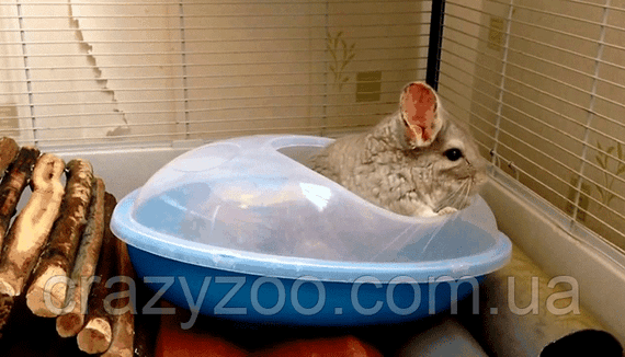 Пісок для шиншил Lolo Pets 1.5 кг LO-71051 | Зображення 2