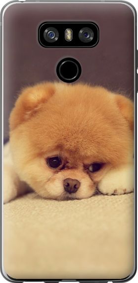 Чехол на LG G6 Boo 2 "890u-836-17620"