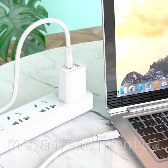 Кабель Hoco Type-C to Type-C Solid charging data cable X84 |1m, 60W, 3A| | Зображення 1