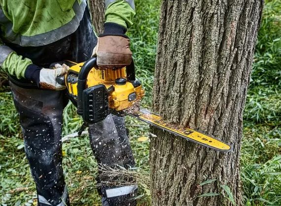 Акумуляторна пилка DeWalt без АКБ та ЗП DCMCS574N | Зображення 2