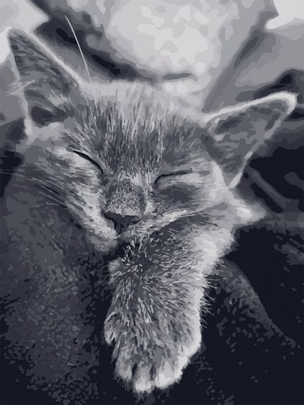 Картина за номерами. Art Craft "Котяча подяка" 40 * 50 см 11612-AC