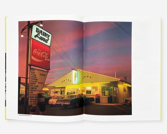 Книга про уличную фотографию Joel Meyerowitz: The Pleasure of Seeing книги с фотографиями известных фотографов | Зображення 7