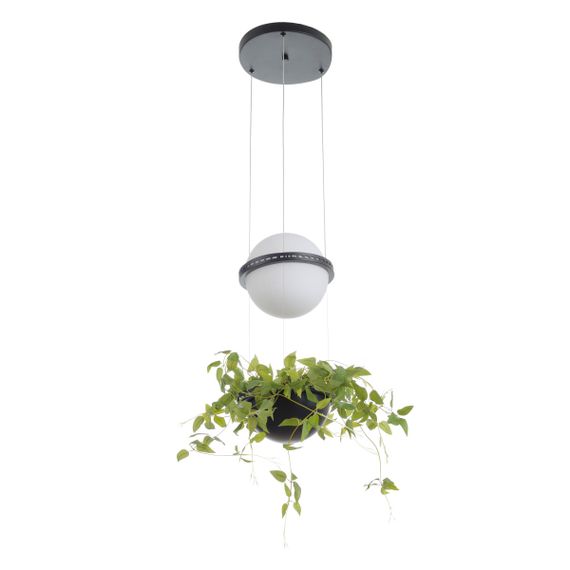 Люстра светодиодная подвесная с растениями 20W NW BK (BL-992S/1)