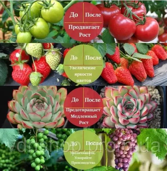 Фітолента для зростання саджанців від USB живлення фітолампа спектр LED 2 м | Зображення 4