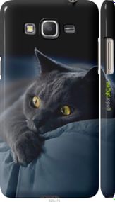 Чохол на Samsung Galaxy Grand Prime VE G531H Димчастий кіт "825m-212-2448"