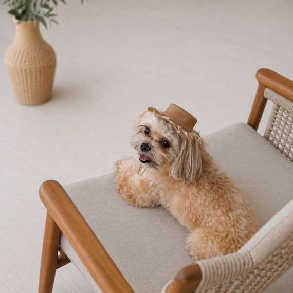 Панама Pet Fashion Print для собак XL | Зображення 5