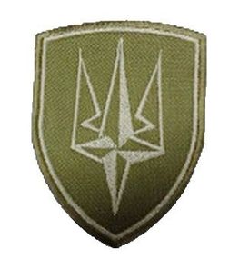 Шеврони  "4 БрОП Тризуб" з вишивкою хакі