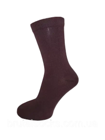 Високі шкарпетки жіночі однотонні ТМ Twinsocks 25 / M / 38-40, Коричневий