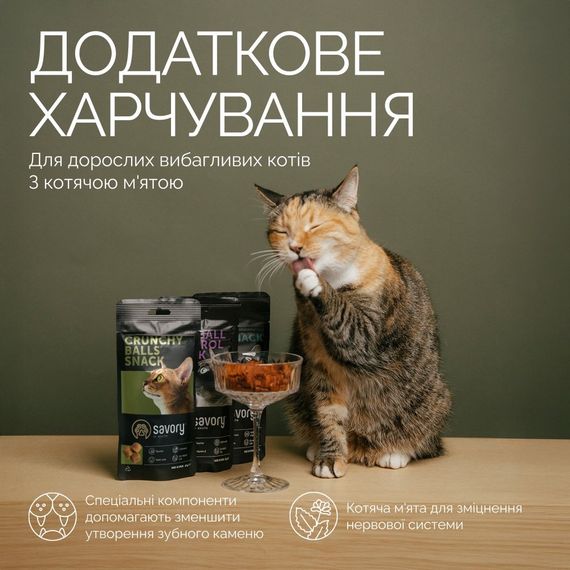 Ласощі для котів з котячою м'ятою Savory Cats Snacks Crunchy Balls, 60 гр | Зображення 2
