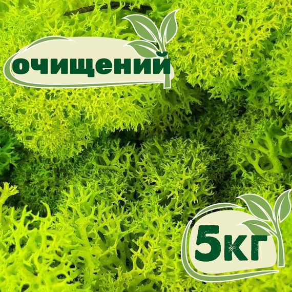 Очищений стабілізований мох ягель Зелений весняний 5 кг
